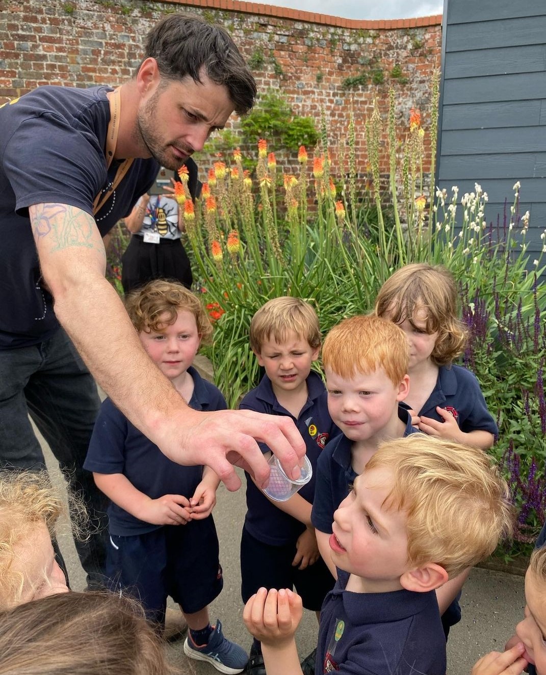 In Search of Bumblebees with the Pre-Prep